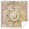 MuchoWow® Poster Jahrgang - Ernst Haeckel - Qualle - Kunst Produktbild-Vorschau 1