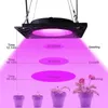 50W Pflanzenlampe LED Vollspektrum Pflanzenlicht Produktbild-Vorschau 2