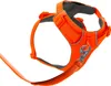 Pettorina per cani Ruffwear Front Range Harness, Anteprima dell’immagine prodotto 9