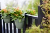 Blumenkasten zum Hängen Elho Vibia Campana flower twin Produktbild-Vorschau 5