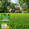 EcoDeco Microtrèfle Euromic MicLover, graines de gazon pour Voir les images du produit 18