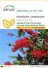 SAFLAX - Australischer Lampenputzer - 400 Samen - Produktbild-Vorschau 1