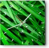 Wanduhr - Quadrat - Glasuhr - Natur Gras Wasser Tropfen - Produktbild-Vorschau 1