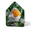 A robin redbreast bird is perched on a branch with berries, presented on a house-shaped object. Produktbild-Vorschau