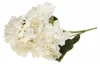 Hortensia Dense Beau Bouquet D'hortensias Fleurs Voir les images du produit 8
