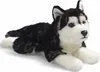 A plush toy husky dog lying down on a white background. Náhled obrázku produktu