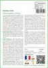 SAFLAX  - Bambou mâle - 50 graines - Dendrocalamus Voir les images du produit 3