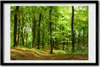 Bild 60x40 MDF-Rahmen, Wandkunst Forstweg Produktbild-Vorschau 1