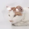 Priehľadný náhubok pre mačky, priedušný, zabraňuje hryzeniu Náhľad obrázku produktu 8
