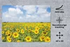 MuchoWow® Mauspad Mousepad Sonnenblumen - Blumen - Wolken - Produktbild-Vorschau 2