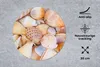MuchoWow® Mauspad Mousepad Muscheln - Strand - Sommer - Produktbild-Vorschau 2