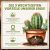 Green Home Kakteen & Sukkulenten Erde 72L mit Perlit. Produktbild-Vorschau 3
