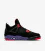 Nike Air Jordan 4 Retro NRG "Raptors", AQ3816-065, rozmiar: Podgląd zdjęcia produktu 4