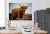 MuchoWow® Poster Schottischer Highlander - Düne - Gras Produktbild-Vorschau 3