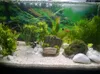 Aquarium Pflanzen Künstlich, 22 cm Kuenstlich 22 cm Produktbild-Vorschau 3