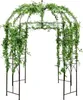 COSTWAY Arche de roses, arc de porte en métal Treillis Voir les images du produit 1