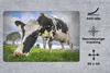 MuchoWow® Schreibtischunterlage Kuh - Gras - Bauernhof - Produktbild-Vorschau 2