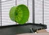 Kerbl Kleintierkäfig Eva (für Hamster und Nager, 23 79 x 45 Produktbild-Vorschau 4
