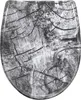 A toilet seat with a wood grain pattern. Produktbild-Vorschau