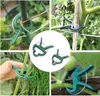 Collage of images showing green plant clips being used to support plants. Produktbild-Vorschau