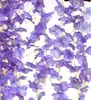 EDIBAZZAR | 12 pezzi Glicine per ghirlanda fiori pendenti Anteprima dell’immagine prodotto 15