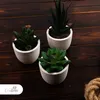 Künstliche Pflanzen Mini 3er Set Dekoration Kunstpflanzen Produktbild-Vorschau 7