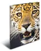 HERMA Sammelmappe A4 Leopard Polypropylen Voir les images du produit 2