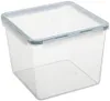 A clear, well-lit studio shot of a square plastic food storage container with a light green lid and clear body. Voir les images du produit