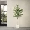 ML-Design umelý olivovník 210 cm, umelá rastlina s kmeňom z Náhľad obrázku produktu 8