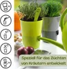 A self-watering herb pot with instructions and surrounding ingredients. Produktbild-Vorschau