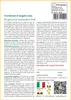 SAFLAX  - Trombone d'angelo rosa - 10 semi - Con substrato Anteprima dell’immagine prodotto 3