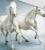 Set di biancheria da letto bianco cavallo grigio 2 pezzi Anteprima dell’immagine prodotto 4