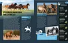 Kosmos SchlauFUX - Pferde und Ponys Produktbild-Vorschau 2