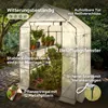AREBOS Treibhaus 143x143x195 cm mit Ablagen & Produktbild-Vorschau 3