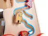 Pusher Houten Walker Educatieve Kubus 6in1 Productafbeelding-voorbeeld 6