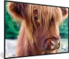 MuchoWow® MuchoWow® Gerahmtes Poster Schottisches Produktbild-Vorschau 1