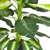 Dieffenbachia umelá rastlina umelá rastlina 75 cm umelá Náhľad obrázku produktu 5
