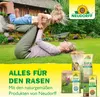 Neudorff Rasenreparatur LückenLos 2,5 kg für 32 Lücken Produktbild-Vorschau 7