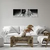 Bild auf Leinwand - Leinwandbild - 3 Teile - Andalusier Produktbild-Vorschau 6