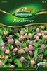 Parakresse Produktbild-Vorschau 3