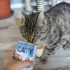 Akinu CATY Hovězí kousky v omáčce konzerva pro kočky 415 g Náhled obrázku produktu 2