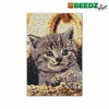 Ses Creative Beedz Art Iron Beads Kitten 45.5X30 cm 7000 Náhled obrázku produktu 1