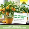 Neudorff  - Azet Zitrus- & MediterranpflanzenDünger 250 ml Produktbild-Vorschau 7