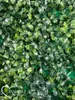 Grüne Wand - Pflanzenwand mit Buchsbaum Produktbild-Vorschau 16