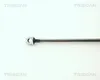 TRISCAN 8710 11202 Gasfeder Heckklappendämpfer für BMW 5 Produktbild-Vorschau 3