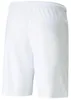 Puma - Pánské šortky „TeamLIGA“ PP5066 (XL) (bílé) Náhled obrázku produktu 2