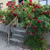NAIZY 150 cm Geländer Eingangsgeländer Edelstahl Handlauf Produktbild-Vorschau 10