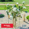 KADAX držák na rostliny, ocelová podpěra na rostliny, Náhled obrázku produktu 13
