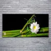 Glasbilder 120x60 Wandbild Druck auf Glas Bambus Blume Produktbild-Vorschau 2