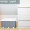 3 Aufbewahrungsboxen mit Deckel und Rollen 50L - Produktbild-Vorschau 6